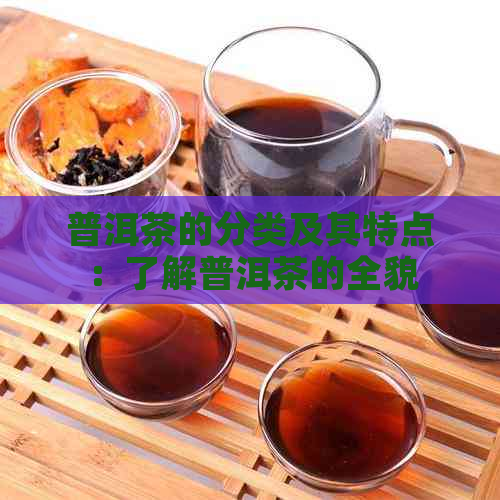 普洱茶的分类及其特点：了解普洱茶的全貌