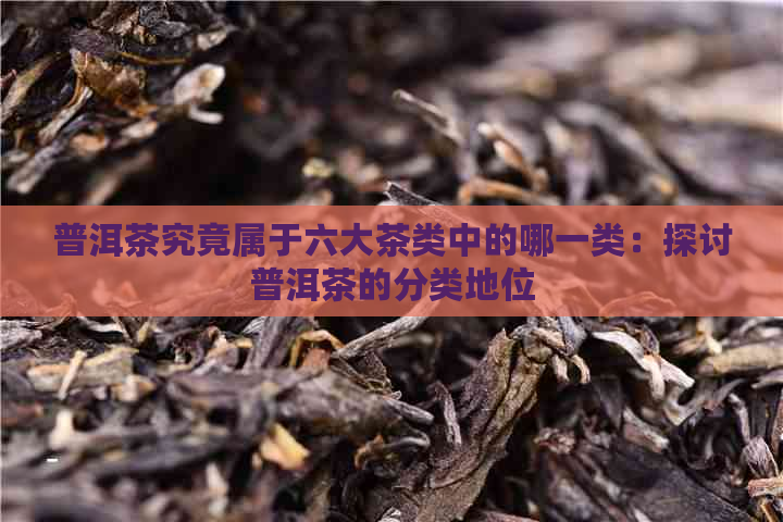 普洱茶究竟属于六大茶类中的哪一类：探讨普洱茶的分类地位