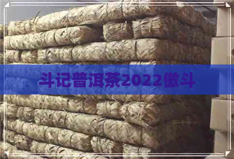 斗记普洱茶2022傲斗