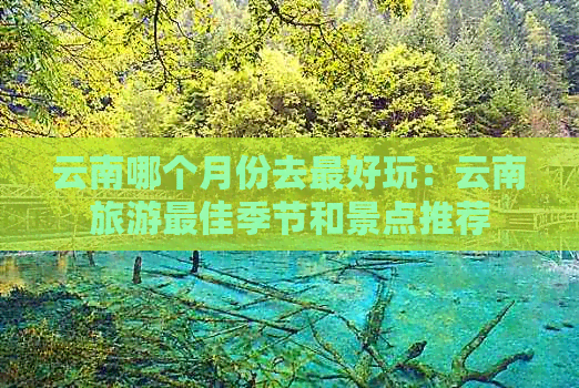 云南哪个月份去更好玩：云南旅游更佳季节和景点推荐