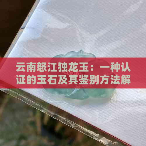 云南怒江独龙玉：一种认证的玉石及其鉴别方法解析