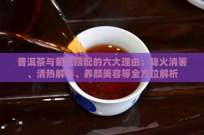 普洱茶与菊花搭配的六大理由：降火消暑、清热解、养颜美容等全方位解析