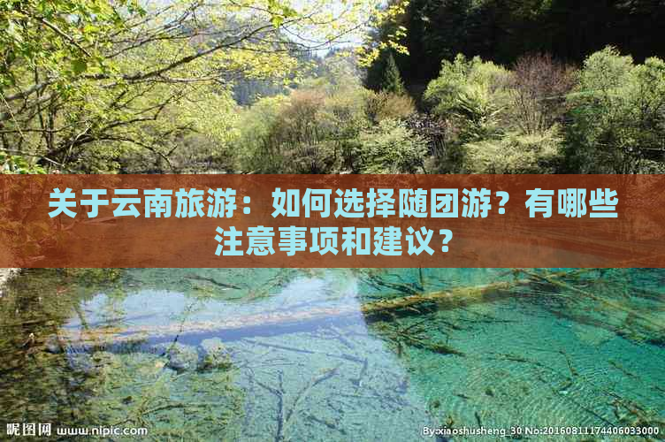 关于云南旅游：如何选择随团游？有哪些注意事项和建议？