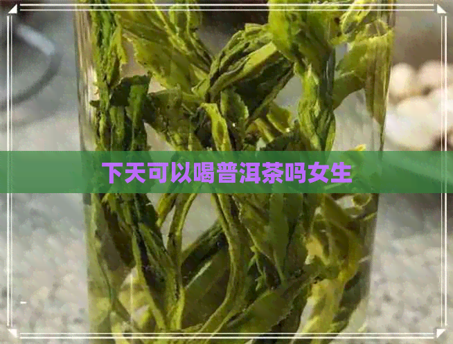 下天可以喝普洱茶吗女生