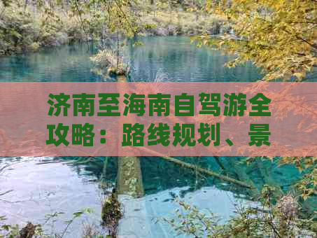 济南至海南自驾游全攻略：路线规划、景点推荐、食宿指南及注意事项