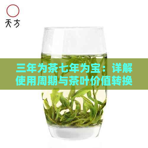 三年为茶七年为宝：详解使用周期与茶叶价值转换