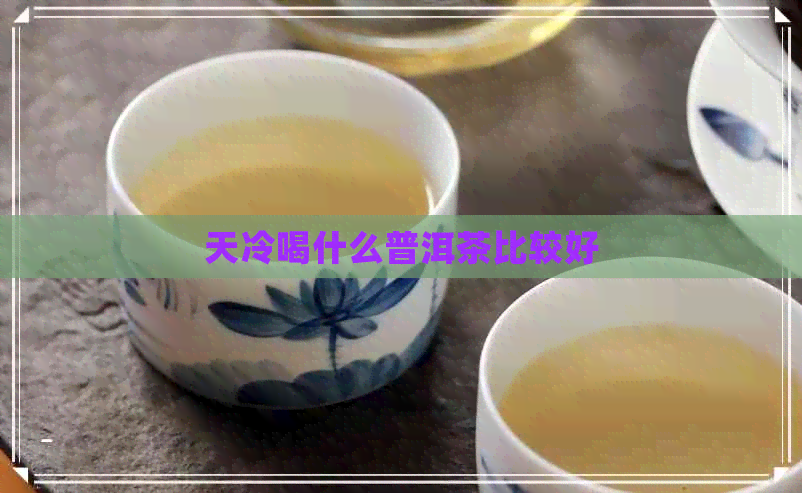 天冷喝什么普洱茶比较好