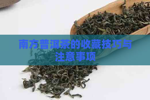 南方普洱茶的收藏技巧与注意事项