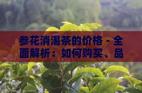 参花消渴茶的价格 - 全面解析：如何购买、品质与价格对比等相关信息