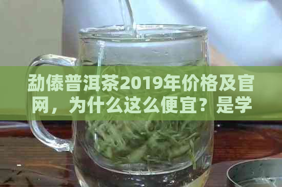 勐傣普洱茶2019年价格及官网，为什么这么便宜？是学费茶吗？