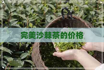 完美沙棘茶的价格