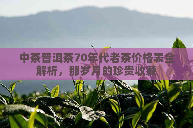 中茶普洱茶70年代老茶价格表全解析，那岁月的珍贵收藏