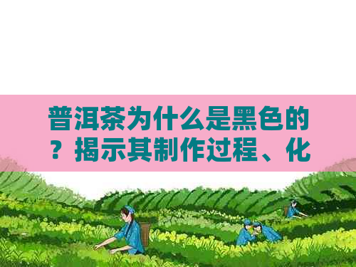 普洱茶为什么是黑色的？揭示其制作过程、化学成分和口感特点的全方位解析