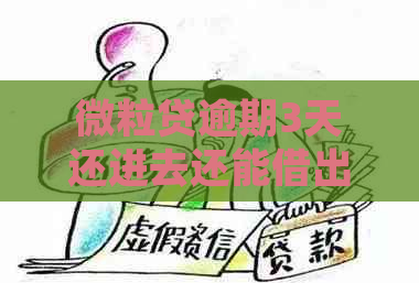 微粒贷逾期3天还进去还能借出来吗？安全吗？