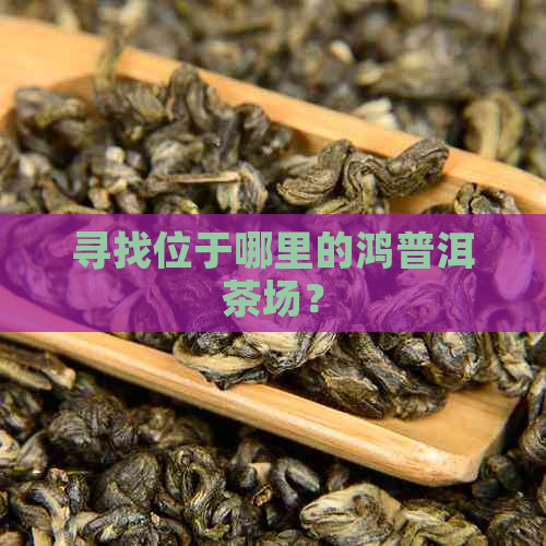 寻找位于哪里的鸿普洱茶场？