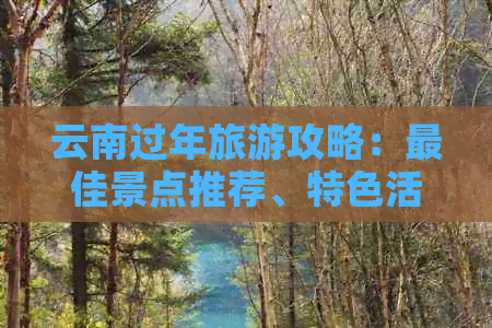 云南过年旅游攻略：更佳景点推荐、特色活动体验与当地美食一网打尽！