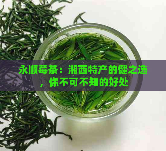 永顺莓茶：湘西特产的健之选，你不可不知的好处