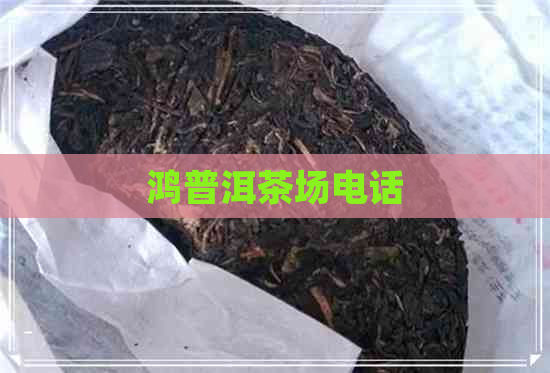 鸿普洱茶场电话