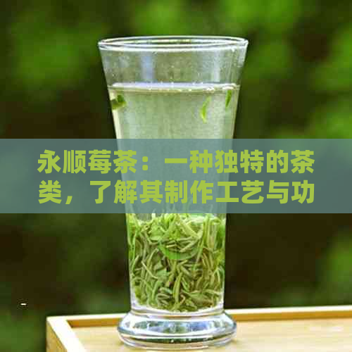 永顺莓茶：一种独特的茶类，了解其制作工艺与功效