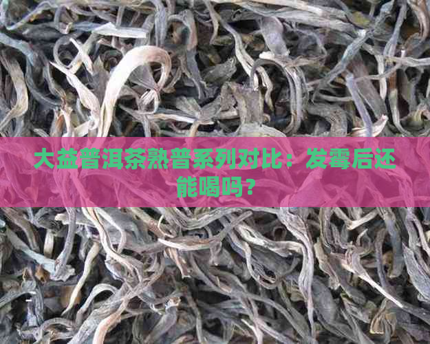 大益普洱茶熟普系列对比：发霉后还能喝吗？