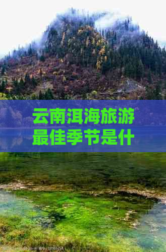 云南洱海旅游更佳季节是什么时候？如何安排行程？