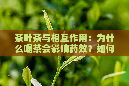 茶叶茶与相互作用：为什么喝茶会影响药效？如何安全地服药？