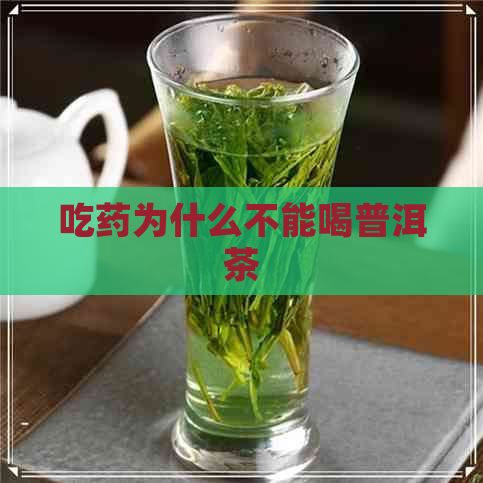 吃药为什么不能喝普洱茶