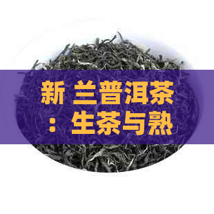 新 兰普洱茶：生茶与熟茶口感对比，你更爱哪一杯？