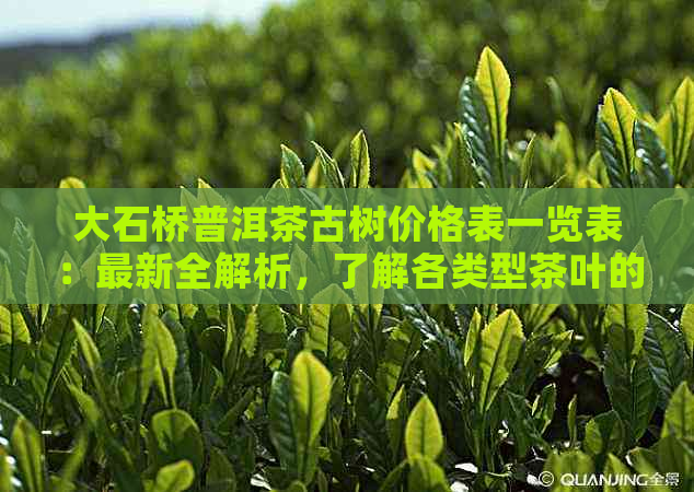 大石桥普洱茶古树价格表一览表：最新全解析，了解各类型茶叶的价格及特点