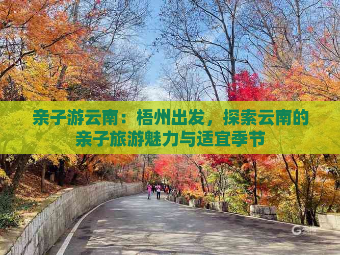 亲子游云南：梧州出发，探索云南的亲子旅游魅力与适宜季节