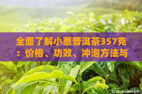 全面了解小葱普洱茶357克：价格、功效、冲泡方法与品鉴技巧一应俱全