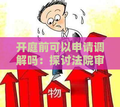 开庭前可以申请调解吗：探讨法院审理前的协商解决途径