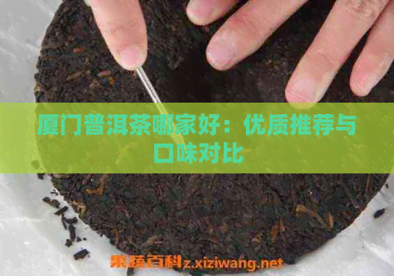 厦门普洱茶哪家好：优质推荐与口味对比