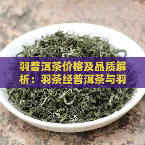 羽普洱茶价格及品质解析：羽茶经普洱茶与羽茶叶价格