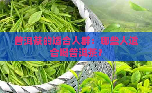 普洱茶的适合人群：哪些人适合喝普洱茶？