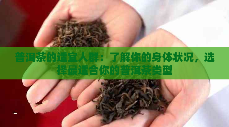 普洱茶的适宜人群：了解你的身体状况，选择最适合你的普洱茶类型