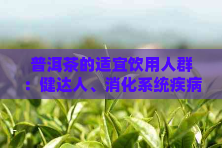 普洱茶的适宜饮用人群：健达人、消化系统疾病患者和茶叶爱好者的理想选择