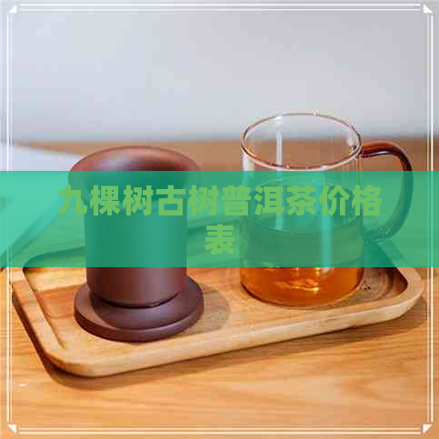 九棵树古树普洱茶价格表