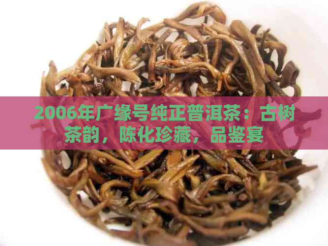 2006年广缘号纯正普洱茶：古树茶韵，陈化珍藏，品鉴宴