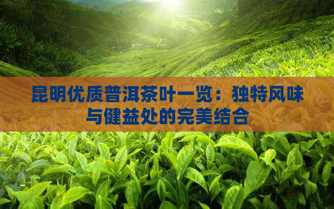 昆明优质普洱茶叶一览：独特风味与健益处的完美结合