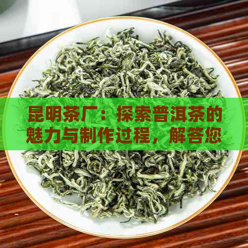 昆明茶厂：探索普洱茶的魅力与制作过程，解答您的所有疑问