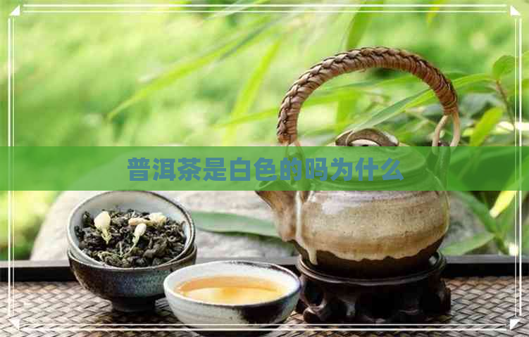 普洱茶是白色的吗为什么