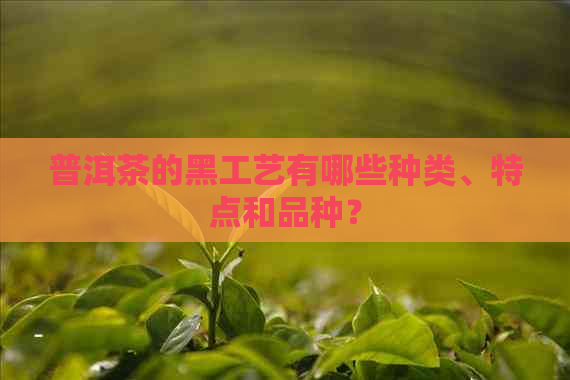 普洱茶的黑工艺有哪些种类、特点和品种？