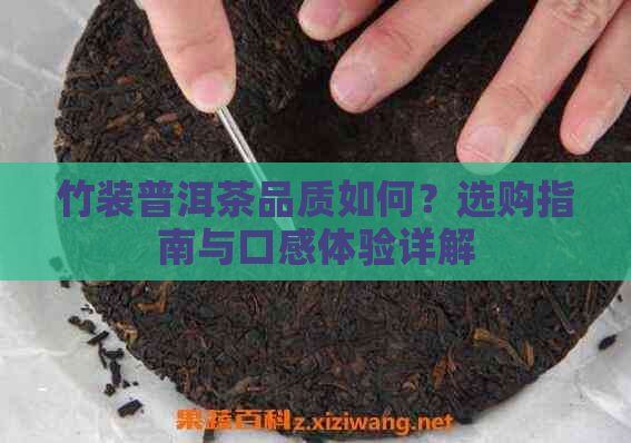 竹装普洱茶品质如何？选购指南与口感体验详解