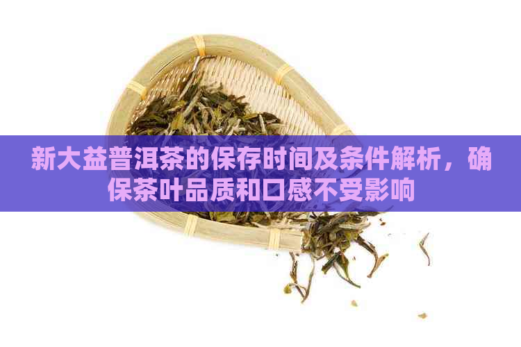 新大益普洱茶的保存时间及条件解析，确保茶叶品质和口感不受影响