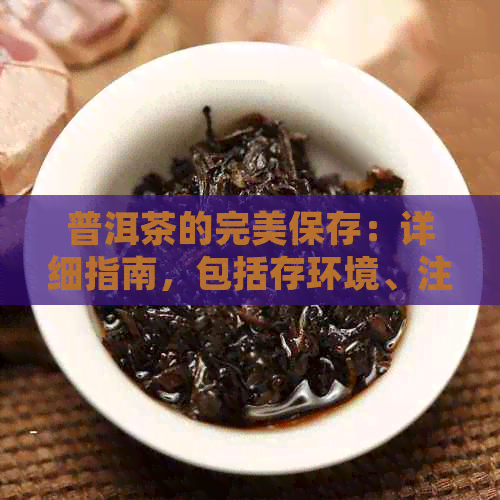 普洱茶的完美保存：详细指南，包括存环境、注意事项以及存放时间