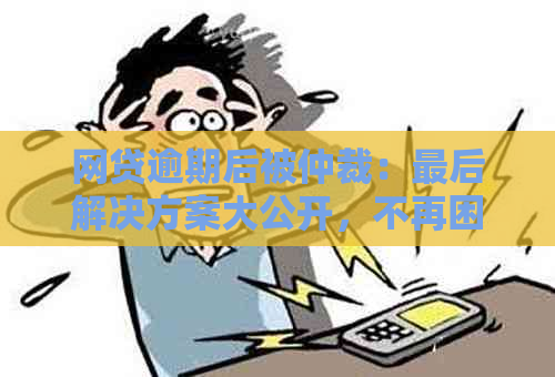 网贷逾期后被仲裁：最后解决方案大公开，不再困惑！