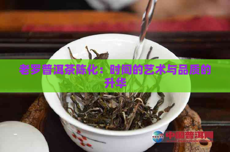 老罗普洱茶陈化：时间的艺术与品质的升华