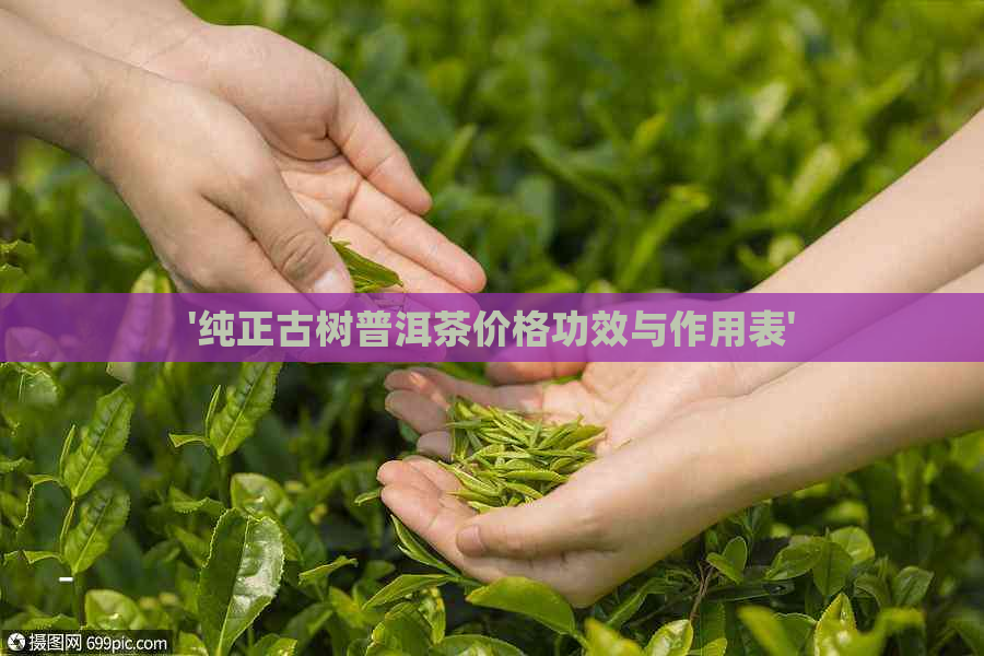 '纯正古树普洱茶价格功效与作用表'