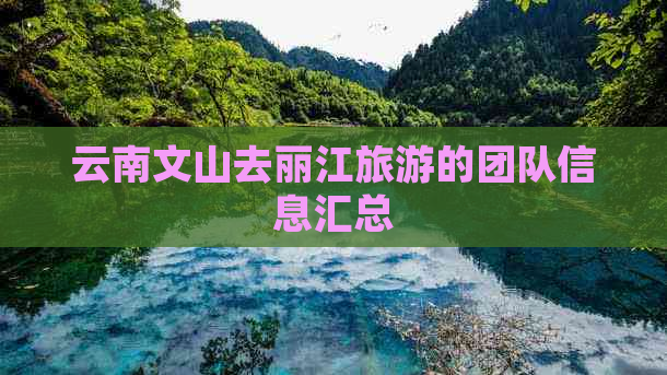 云南文山去丽江旅游的团队信息汇总